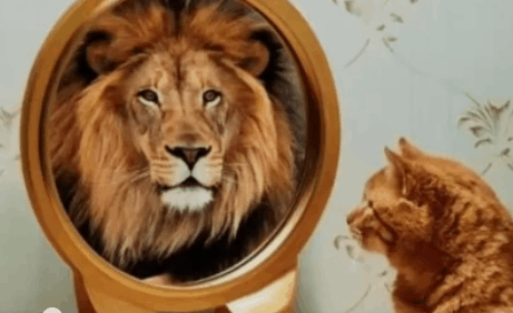 Como vender a Empresas B2B 